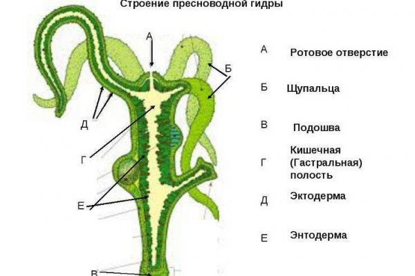 Kraken ссылка тор 2krnk biz